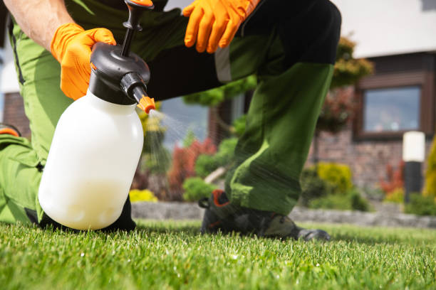 Best Best Pest Control Companies  in West Haven, CT