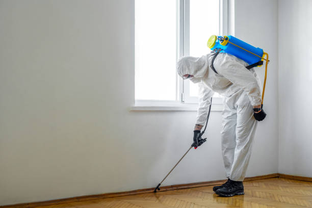 Pest Control for Restaurants in West Haven, CT