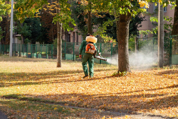 Best Termite Control Services  in West Haven, CT