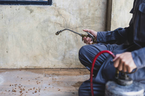Best Pest Prevention Services  in West Haven, CT