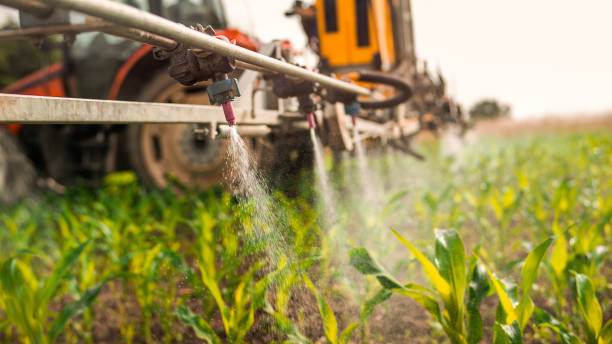 Best Mosquito Control Services  in West Haven, CT